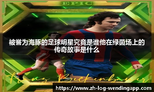 被誉为海豚的足球明星究竟是谁他在绿茵场上的传奇故事是什么
